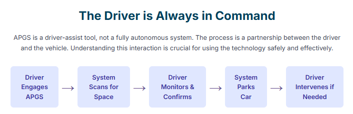 How APGS System works